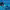 Echolocation (bats and dolphins) cover