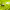 https://res.cloudinary.com/billionhands/image/upload/v1781470334/items/zmw64hswvuuyswur992b.gif-2cover