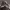 https://res.cloudinary.com/billionhands/image/upload/v1781470929/items/n0sv5zoi3vbepogfs3lq.webp-2cover