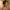 https://res.cloudinary.com/billionhands/image/upload/v1781473894/items/hgo1rgqhqtzg6ksmlsy9.jpg-0cover