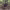 https://res.cloudinary.com/billionhands/image/upload/v1781474362/items/pm5f9ufshy2rxt1lwooe.jpg-1cover