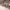 https://res.cloudinary.com/billionhands/image/upload/v1781477023/items/skpiu2xmva3r5cdqkpon.jpg-1cover