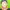 https://res.cloudinary.com/billionhands/image/upload/v1781477270/items/skvsqylloatvkzwdfufj.webp-3cover