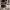 https://res.cloudinary.com/billionhands/image/upload/v1781477308/items/wvjges1o7k4xtkurxf2m.webp-0cover