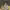 https://res.cloudinary.com/billionhands/image/upload/v1781480168/items/eah5jvqdqy0lelgu4dly.jpg-3cover