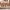 https://res.cloudinary.com/billionhands/image/upload/v1781480943/items/vxrdah8ldclbikeqcph4.jpg-0cover
