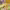 https://res.cloudinary.com/billionhands/image/upload/v1781481458/items/qxajcocw5uwlbfnb1agp.jpg-3cover