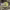 https://res.cloudinary.com/billionhands/image/upload/v1781481541/items/ihdmsv6qosr2kcepnnog.jpg-1cover