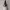 https://res.cloudinary.com/billionhands/image/upload/v1781482074/items/izczgn0dhadwnr7aecqz.jpg-0cover