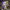 https://res.cloudinary.com/billionhands/image/upload/v1781483937/items/tbym5sfxlrvyj483zz9v.webp-3cover
