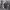 https://res.cloudinary.com/billionhands/image/upload/v1781484262/items/yoa0i9tt3wsofmzwvqtx.png-2cover