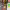 https://res.cloudinary.com/billionhands/image/upload/v1781484677/items/j7t8dv9roeew0d8fdayw.jpg-0cover