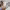 https://res.cloudinary.com/billionhands/image/upload/v1781484939/items/rt79gukiljk18q2ceecx.webp-2cover