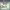 https://res.cloudinary.com/billionhands/image/upload/v1781485149/items/avr1mhs3lkqpgcg9ycij.png-2cover