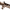 https://res.cloudinary.com/billionhands/image/upload/v1781485641/items/fzxxai9chcev9o2ucn84.png-2cover
