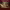 https://res.cloudinary.com/billionhands/image/upload/v1781486665/items/t5vlaoucg88c5monngw5.jpg-1cover