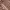 https://res.cloudinary.com/billionhands/image/upload/v1781490942/items/gg3xxxuhvam01cq58id4.jpg-0cover