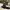 https://res.cloudinary.com/billionhands/image/upload/v1781493938/items/xwhthvvgjtkgbtbruc3l.avif-2cover
