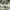 https://res.cloudinary.com/billionhands/image/upload/v1781495586/items/bo2wvhfrwcctun0ehrlh.jpg-3cover