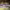 https://res.cloudinary.com/billionhands/image/upload/v1781495754/items/buwqbngjol6kt8nf1hpg.webp-1cover