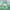 https://res.cloudinary.com/billionhands/image/upload/v1781496117/items/geya9qfvhwzdixhdyotk.webp-0cover