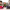 https://res.cloudinary.com/billionhands/image/upload/v1781497347/items/sfto8ovhkaclqaeggen7.png-1cover