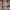 https://res.cloudinary.com/billionhands/image/upload/v1781497381/items/xrzcbrg7zdslyuhi3pf2.jpg-1cover