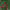https://res.cloudinary.com/billionhands/image/upload/v1781498012/items/yqqtbabmbfvhhy9jz6ff.png-3cover