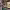 https://res.cloudinary.com/billionhands/image/upload/v1781500015/items/ucai80qxmzp3xwih6coz.jpg-3cover