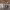 https://res.cloudinary.com/billionhands/image/upload/v1781500141/items/sqapfiffqg64zzx2etue.jpg-3cover