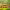 https://res.cloudinary.com/billionhands/image/upload/v1781500144/items/ndgj9egfw61osbpynyi4.jpg-0cover