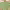https://res.cloudinary.com/billionhands/image/upload/v1781501707/items/aonvpn4hybbyr0ygrbag.webp-1cover