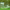 https://res.cloudinary.com/billionhands/image/upload/v1781502729/items/wlb7wxwvhfdlnrofhaqq.webp-1cover