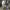https://res.cloudinary.com/billionhands/image/upload/v1781502955/items/qzclb4mqch6a7dyr3x1l.jpg-0cover