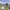 https://res.cloudinary.com/billionhands/image/upload/v1781504918/items/ufhwbx0dlqkj6y9rh0ql.jpg-2cover