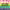 House of Yes + Tiki Disco + Glitterbox Pride 2026 cover