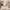 https://res.cloudinary.com/billionhands/image/upload/v1781504929/items/ggob8qthgvsnp2vx7xqw.webp-0cover