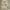 https://res.cloudinary.com/billionhands/image/upload/v1781505789/items/wsspsdb4izwfd723hp8k.jpg-0cover