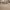 https://res.cloudinary.com/billionhands/image/upload/v1781506387/items/tjpa97bppqdnsg1v85ee.jpg-2cover