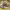 https://res.cloudinary.com/billionhands/image/upload/v1781508023/items/eijxvqtw548mgejevxi6.jpg-1cover