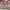 https://res.cloudinary.com/billionhands/image/upload/v1781508731/items/xqoh06qgxgagyiqustpq.jpg-0cover