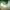 https://res.cloudinary.com/billionhands/image/upload/v1781508899/items/ms5vy1su9ijvbzdygifn.jpg-2cover