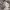 https://res.cloudinary.com/billionhands/image/upload/v1781511102/items/bufl5wqe7978xjzon5pn.jpg-0cover