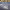 https://res.cloudinary.com/billionhands/image/upload/v1781511108/items/todjpxnkt1mgxuhicex9.webp-0cover