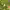 https://res.cloudinary.com/billionhands/image/upload/v1781513010/items/se17jfzugmu5btdiw6v8.webp-2cover