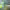 https://res.cloudinary.com/billionhands/image/upload/v1781515544/items/zqbo0mhzduambfxh2eqo.jpg-0cover