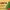 https://res.cloudinary.com/billionhands/image/upload/v1781515546/items/eydms3iltdzrtrmlscam.jpg-2cover
