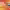 https://res.cloudinary.com/billionhands/image/upload/v1781515651/items/guwfp9vafwbnwb7pfbm4.webp-2cover