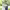 https://res.cloudinary.com/billionhands/image/upload/v1781515911/items/wstk6hqtwojak6robeyj.jpg-3cover