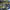 https://res.cloudinary.com/billionhands/image/upload/v1781515989/items/tl5dk0gp17vteryw01k1.jpg-1cover